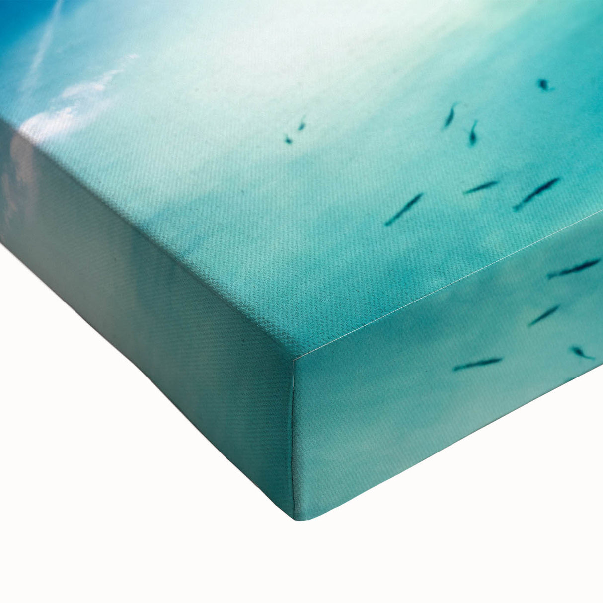 Black and white landscape art painting of Yucatan on stretched canvas, ideal for bedroom wall art.