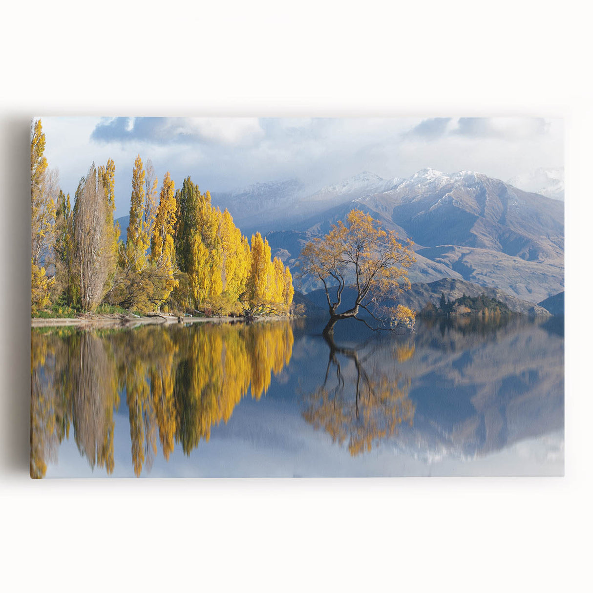Black and white panoramic photo of Otago, New Zealand on stretched canvas, ideal for kitchen wall art.
