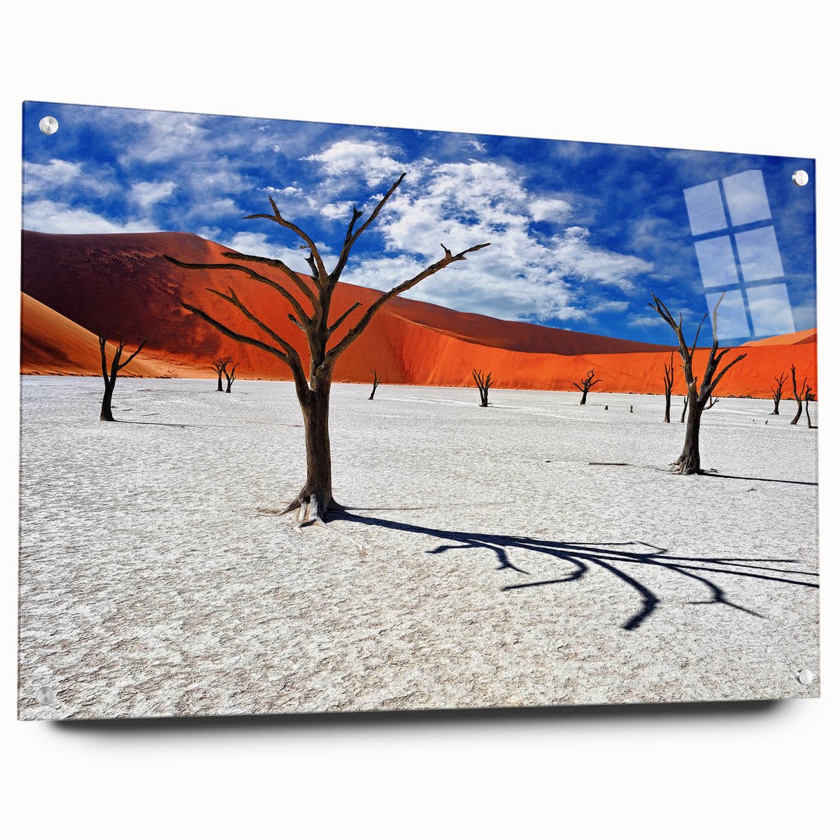 Acrylic print of a Namibian landscape, showcasing earthy tones and a panoramic format.