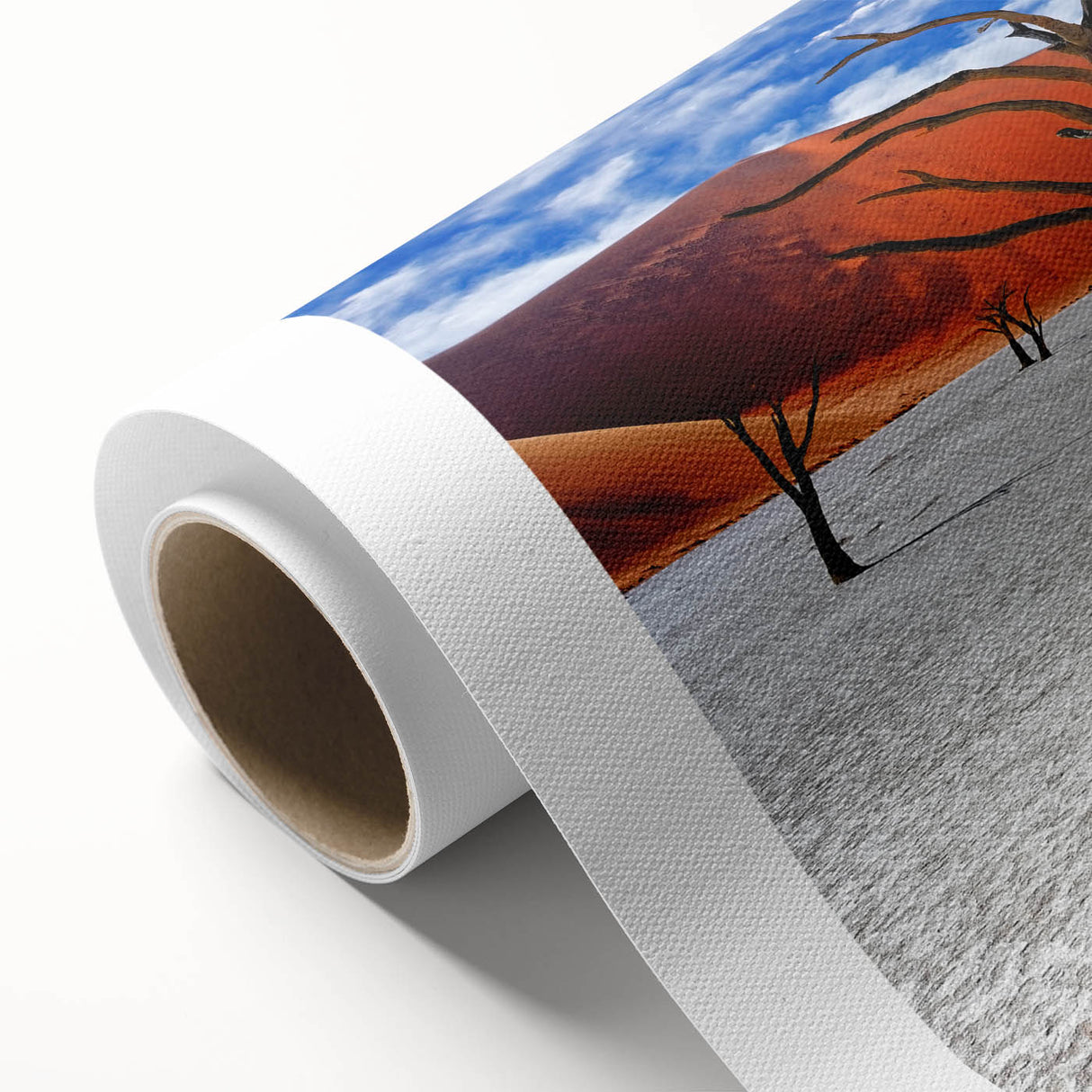 Art Deco style poster of Namibian scenery on rolled canvas, featuring muted earth tones.