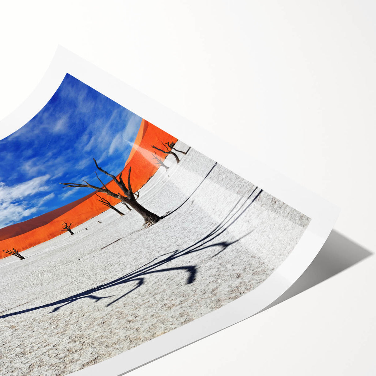 Extra large wall art featuring a minimalist line art of flowers in black on a white background.