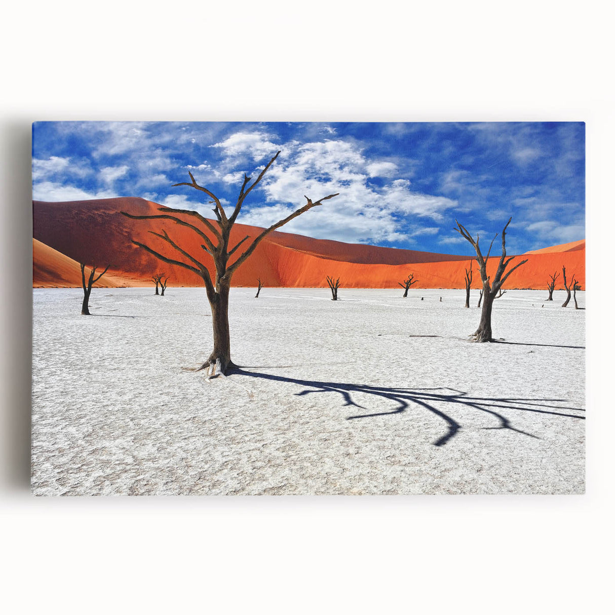 Black and white photograph of an expansive Namibian landscape on large stretched canvas, ideal for kitchen wall art.