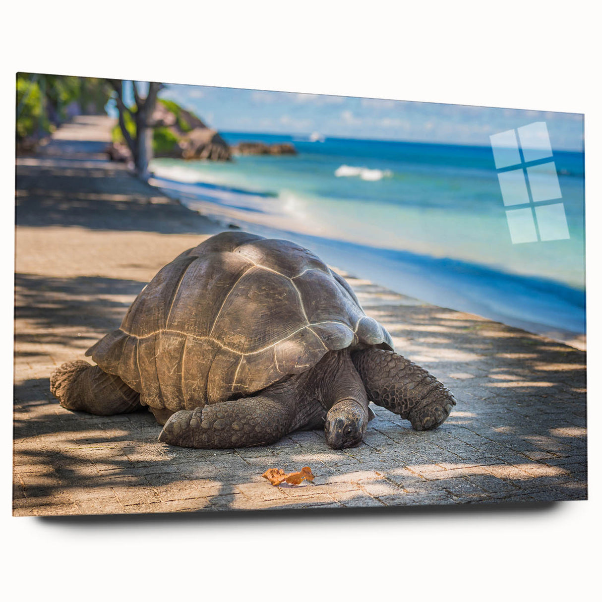 Large abstract wall art depicting the Seychelles landscape on acrylic glass, in vibrant blue and green tones.