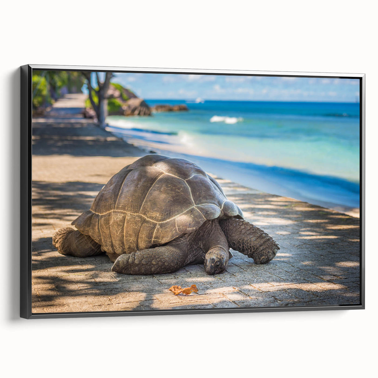 Black and white framed canvas of a Seychelles landscape, ideal for bedroom wall decor.