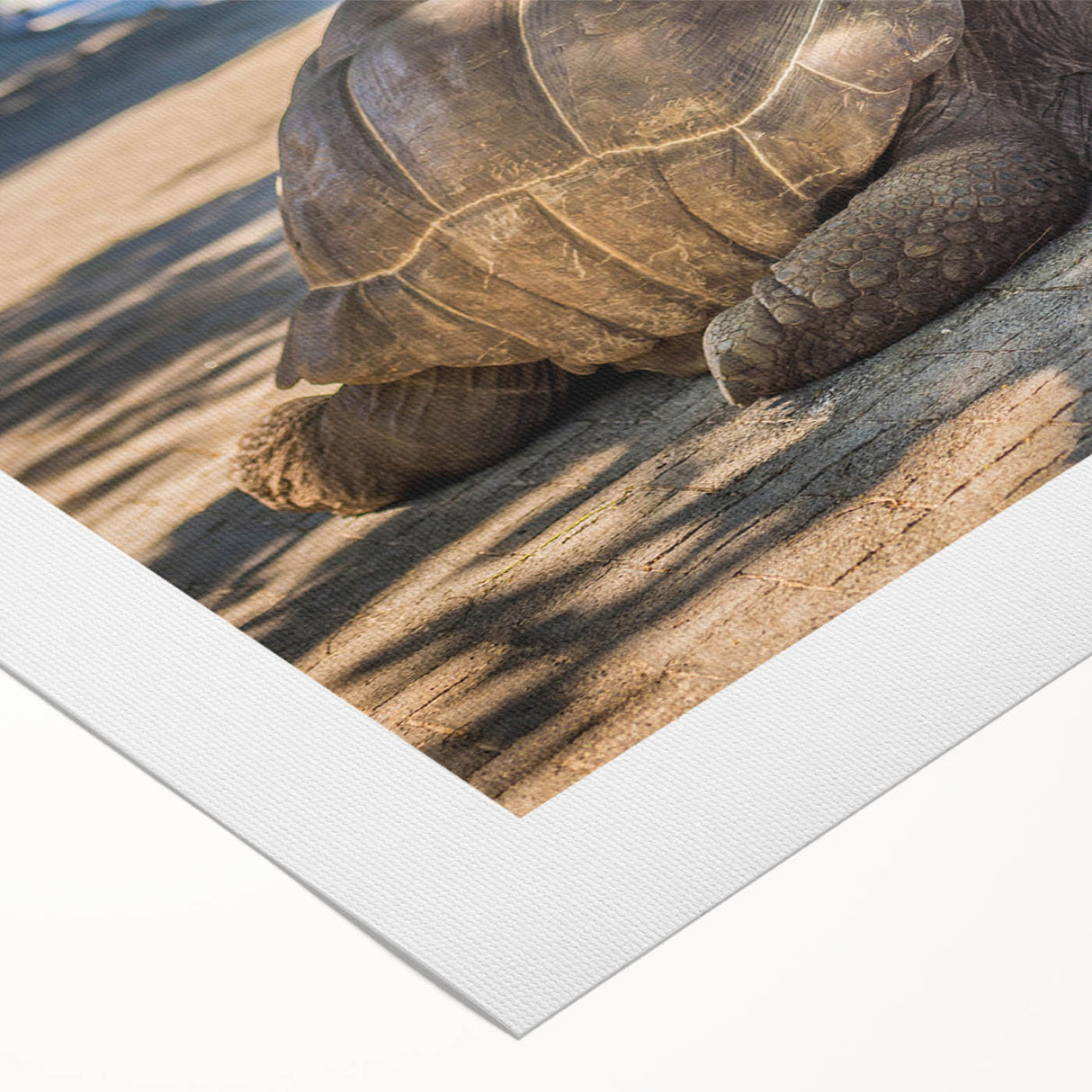 Art deco poster of Seychelles scenery on rolled canvas, featuring serene blue and green tones.