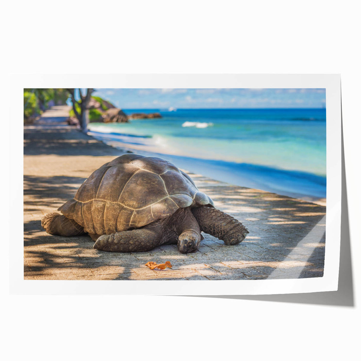 Rolled print of Seychelles scenery with vibrant green and blue tones, ideal for art wall dining room.