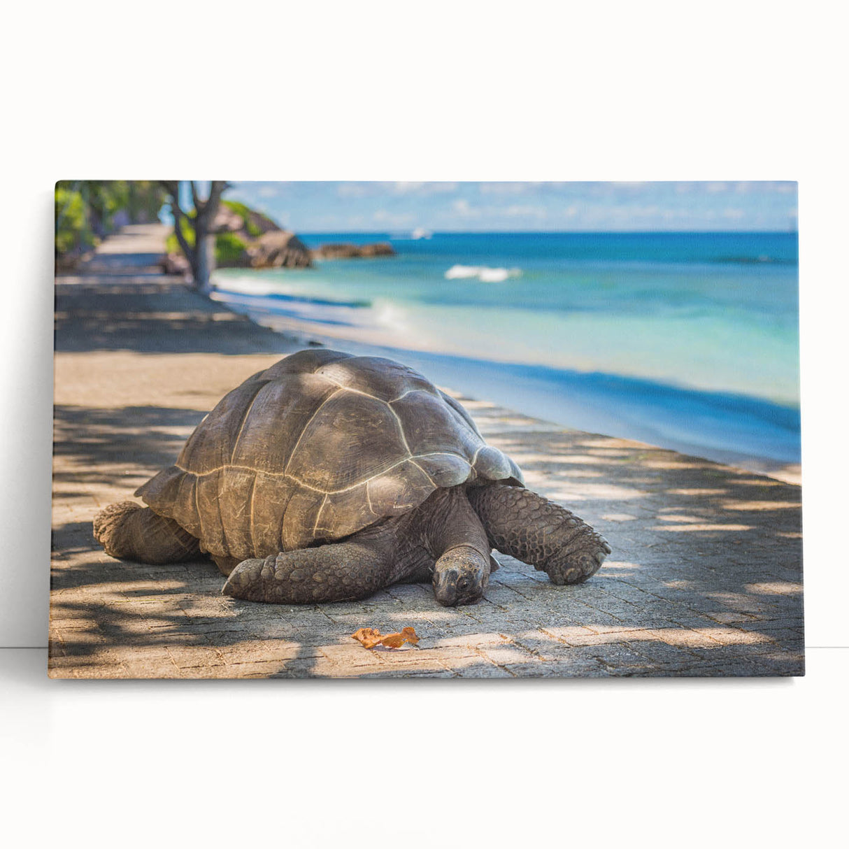 Black and white photograph of Seychelles landscape on large stretched canvas, ideal for kitchen art.