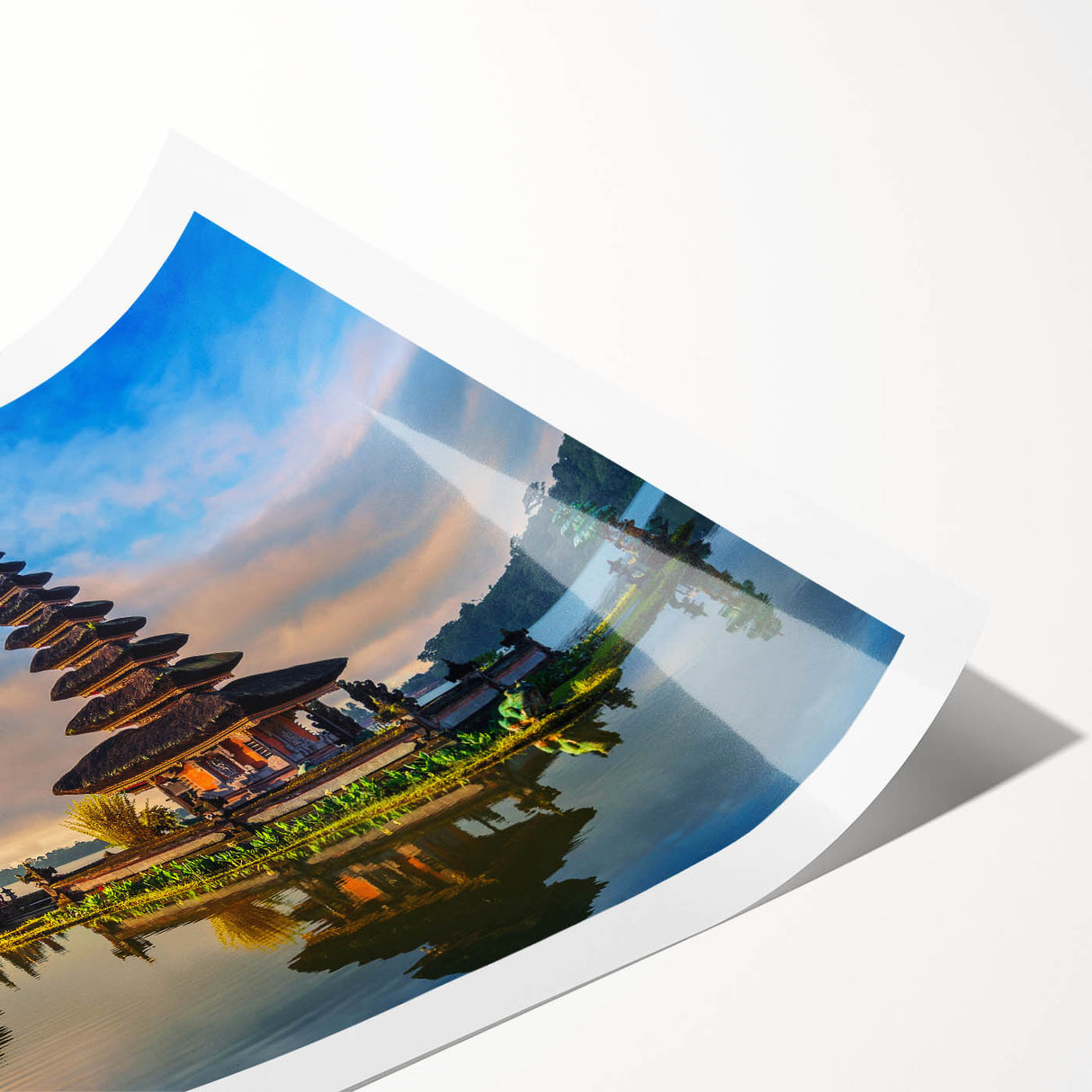 Extra large rolled print featuring line art flowers in monochrome, ideal for large living room wall art.