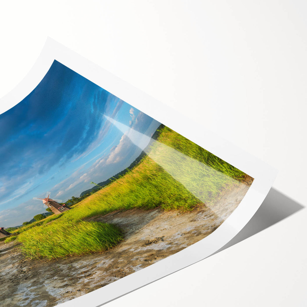 Extra large wall art featuring line art flowers in muted earth tones on a rolled print, ideal for large living room decor.