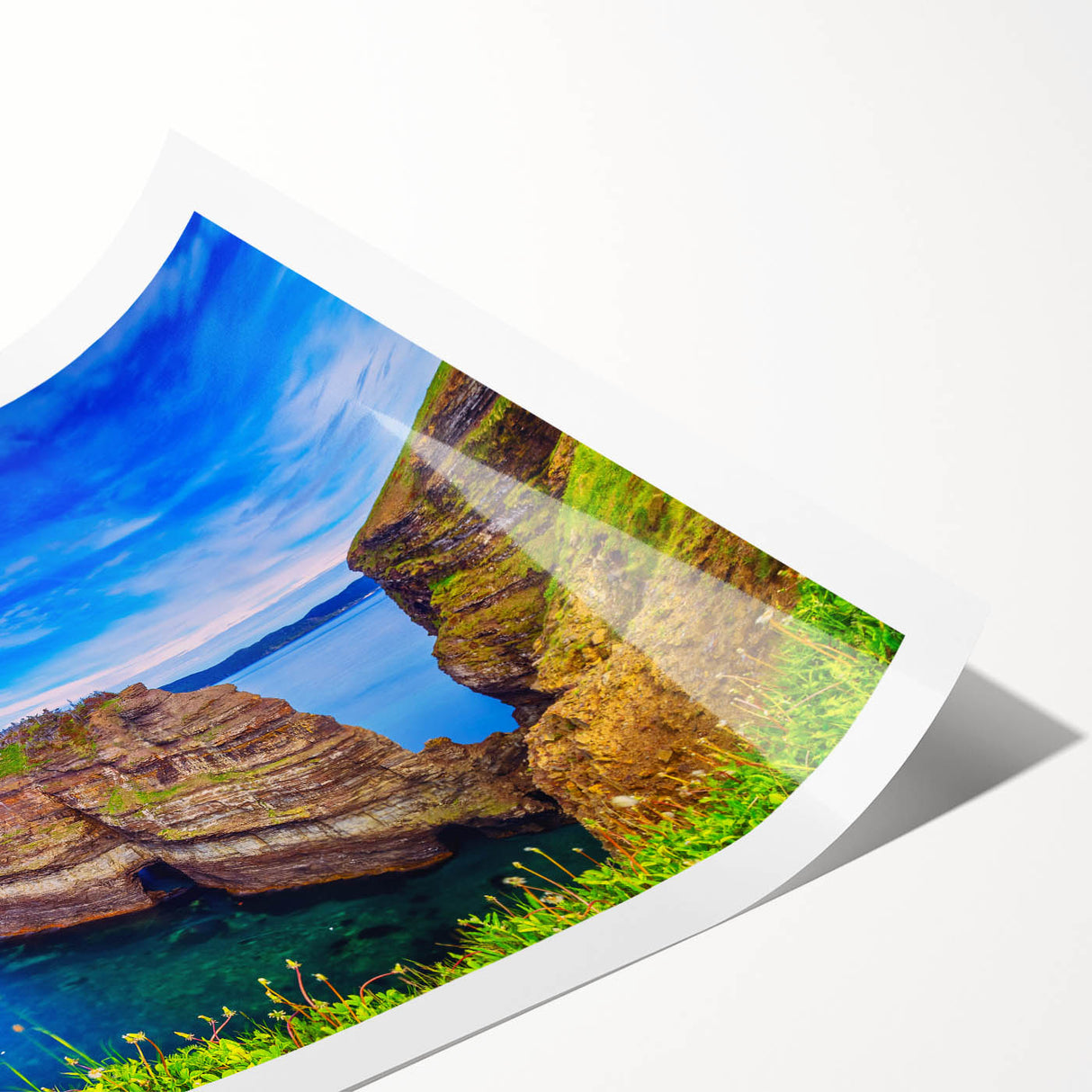 Extra large wall art featuring line art flowers in soft pastel shades on a rolled print, ideal for large living room decor.