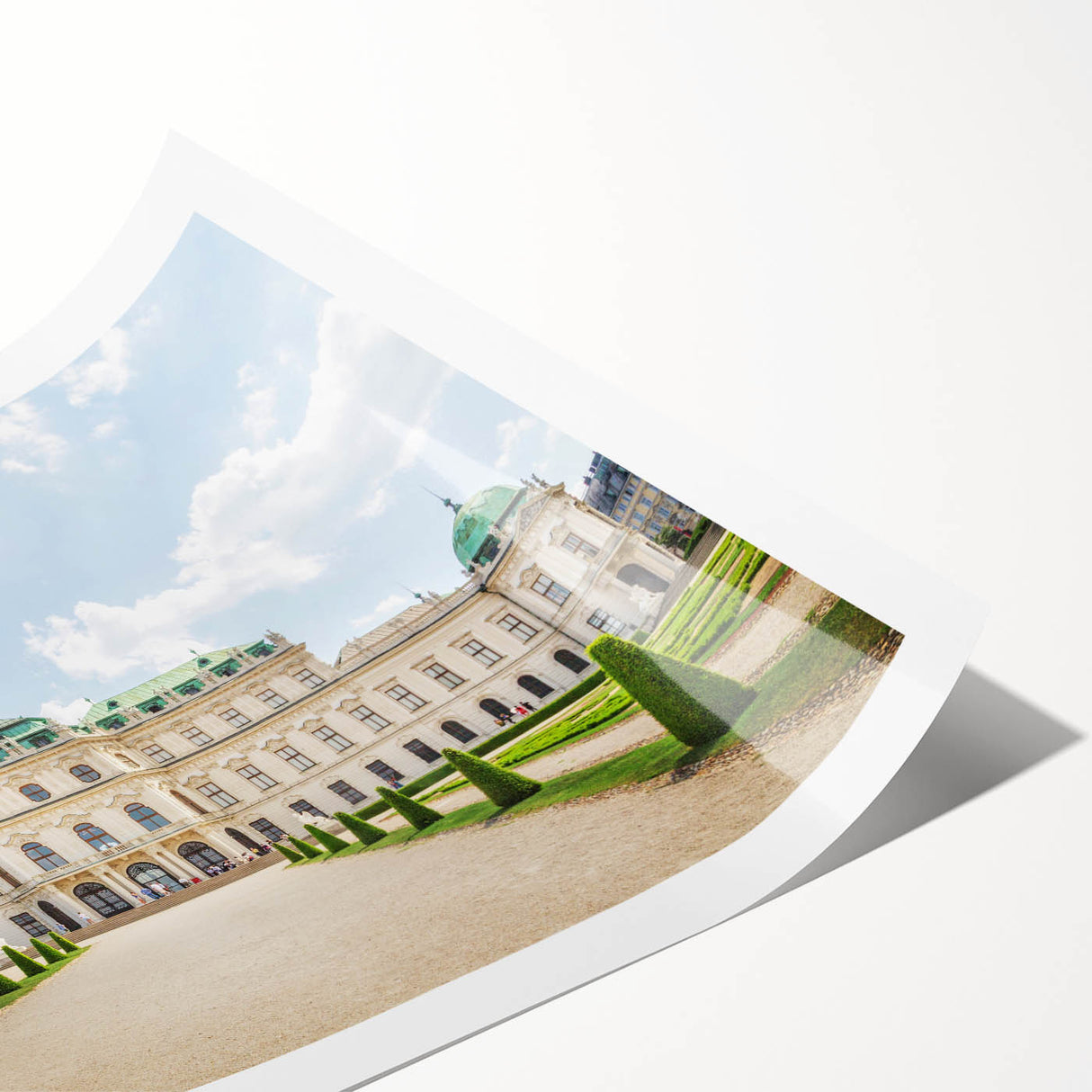 Extra large rolled print of line art flowers in muted earth tones, ideal for large living room wall art.