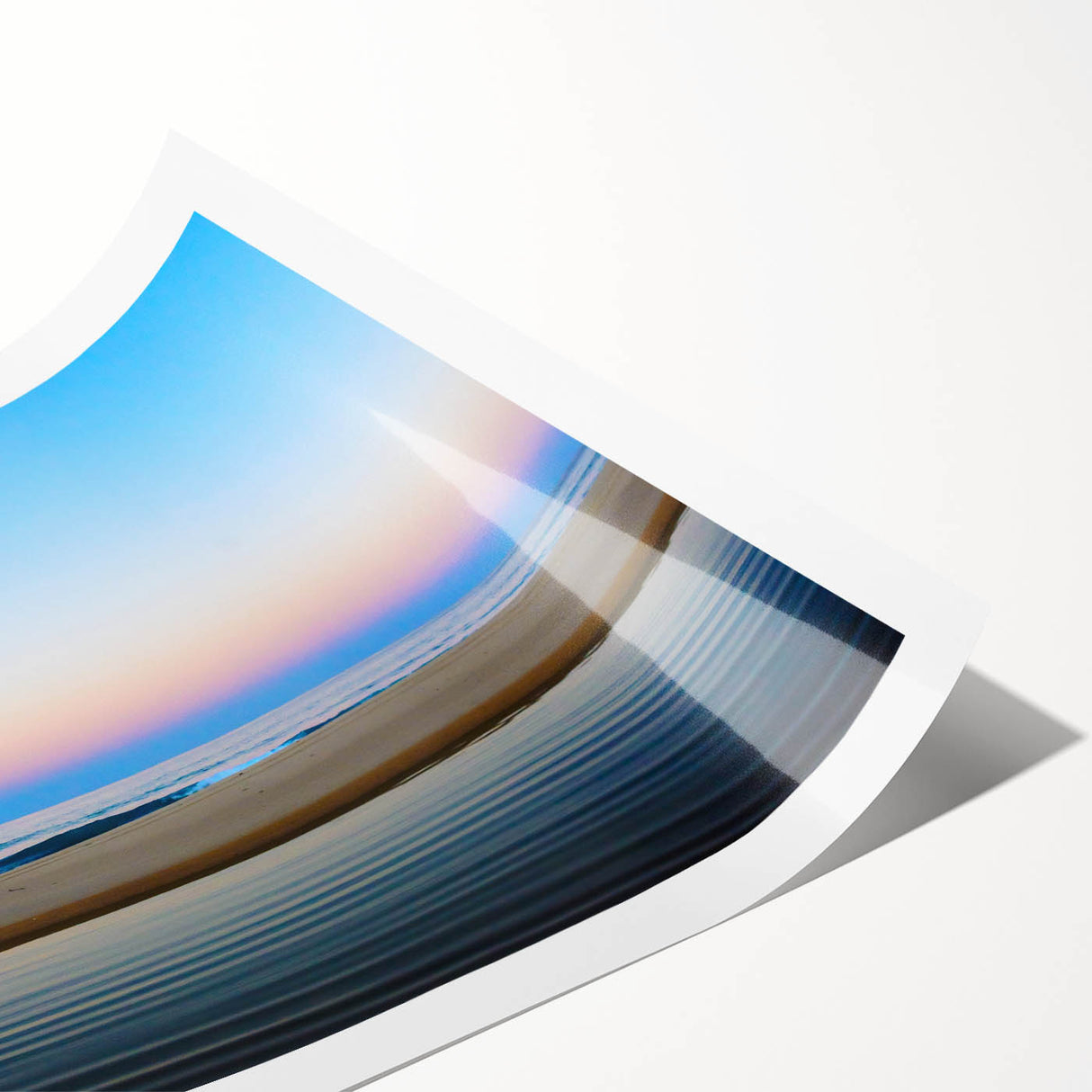 Extra large rolled print of line art flowers in muted earth tones, ideal for large living room wall art.