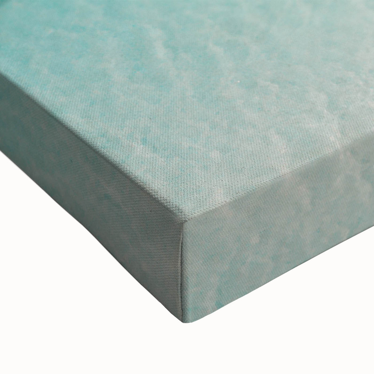 Large art of Quintana Roo landscape in black and white on stretched canvas, ideal for bedroom wall decor.