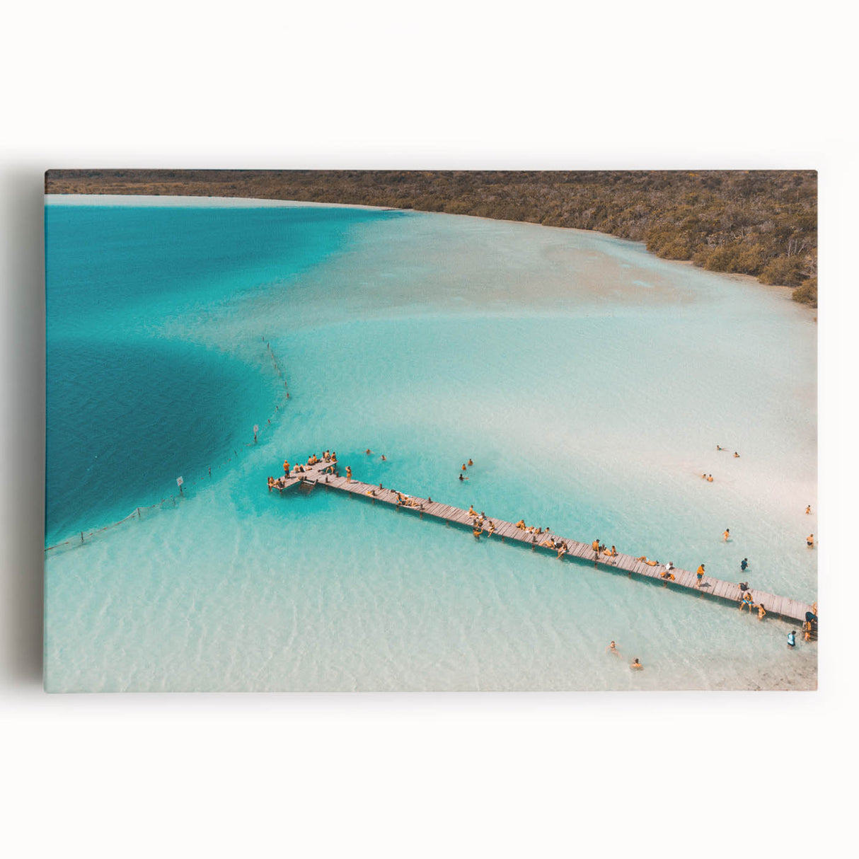 Large black and white canvas print of Quintana Roo scenery, ideal for kitchen wall art.
