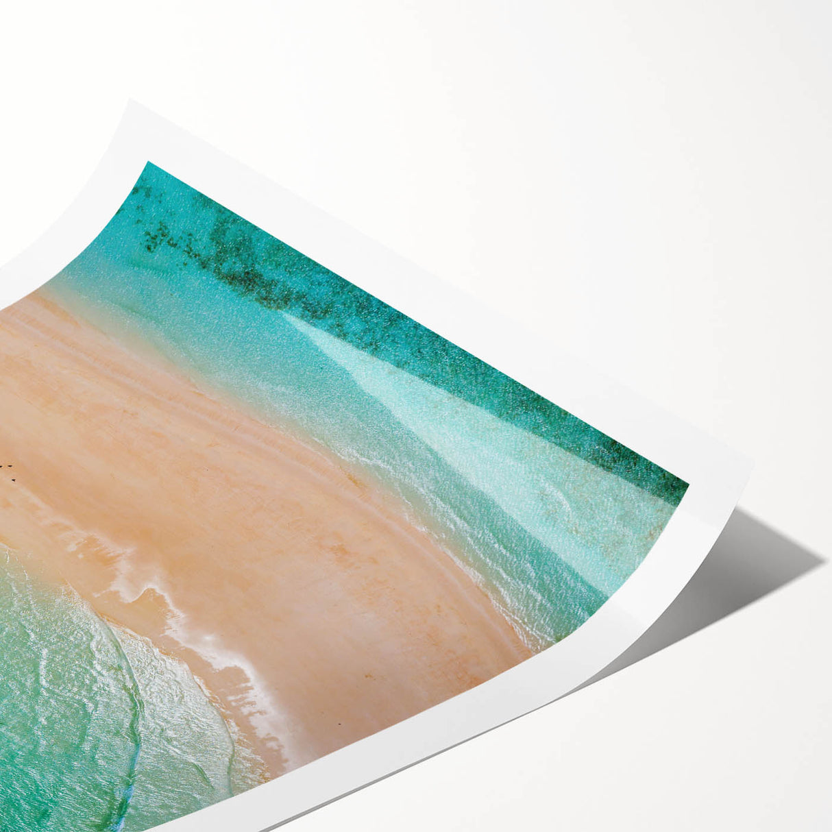 Extra large wall art featuring line art flowers in muted earth tones on a rolled canvas, ideal for large living room decor.