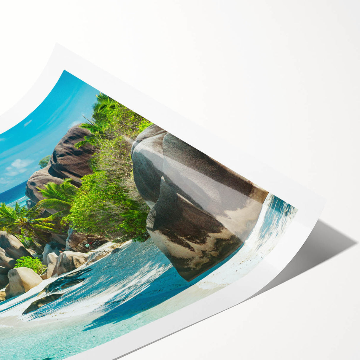 Extra large wall art depicting line art flowers in muted earth tones on rolled print, suitable for large living room walls.