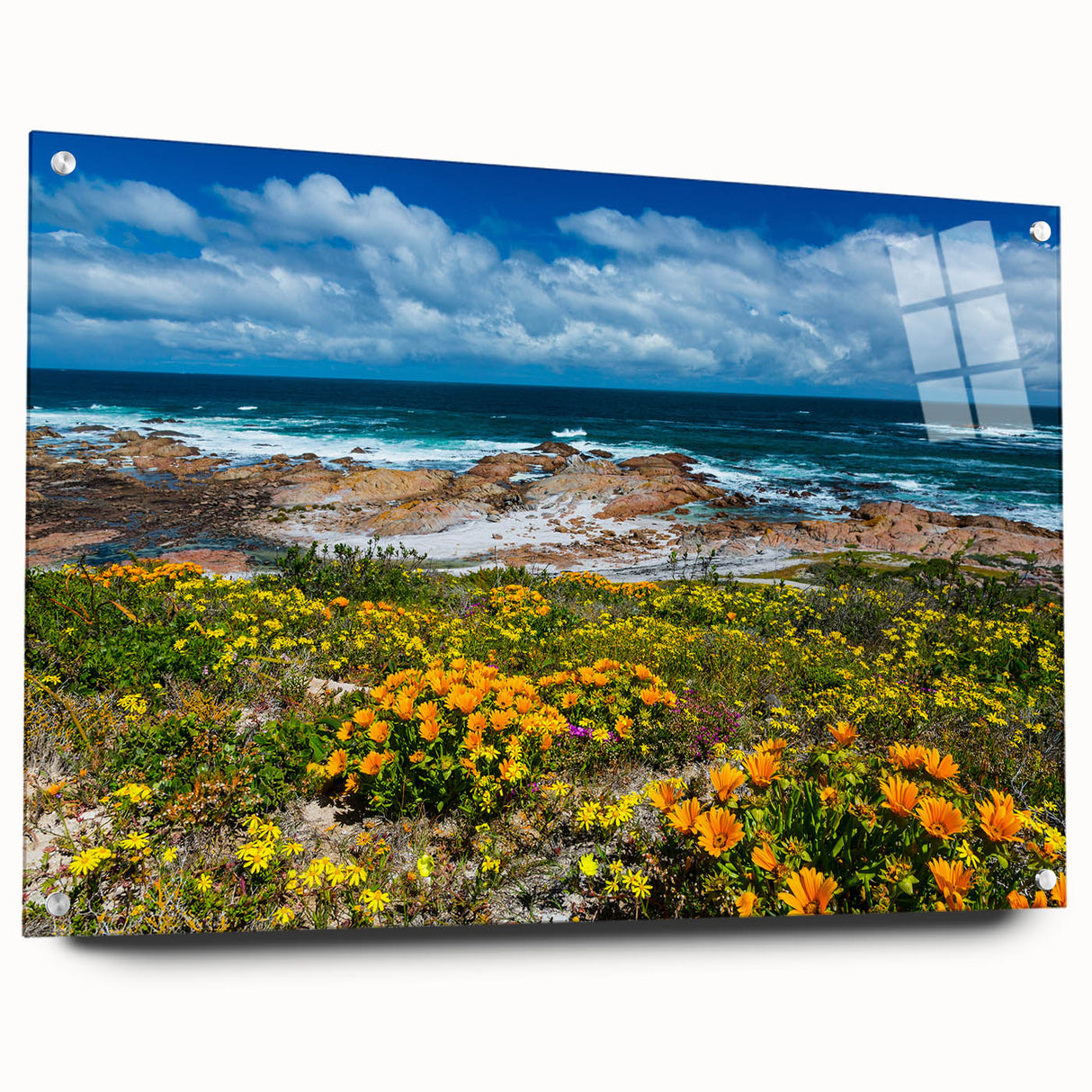 Large abstract wall art depicting the South African scenery in muted earth tones on acrylic glass.