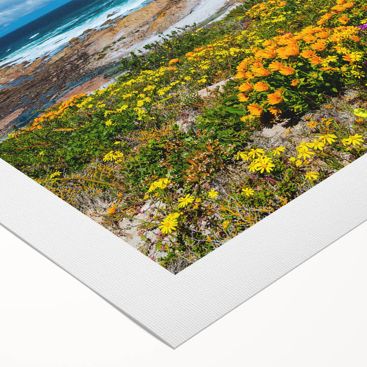 Art deco poster featuring a stylized South African landscape in muted earth tones on rolled canvas.