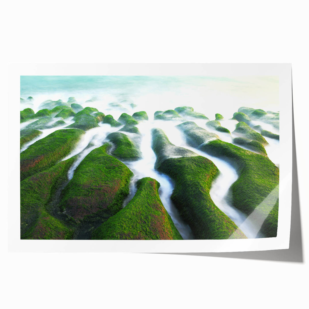 Extra large rolled print of a Taiwanese landscape with vibrant floral elements, ideal for dining room wall art.