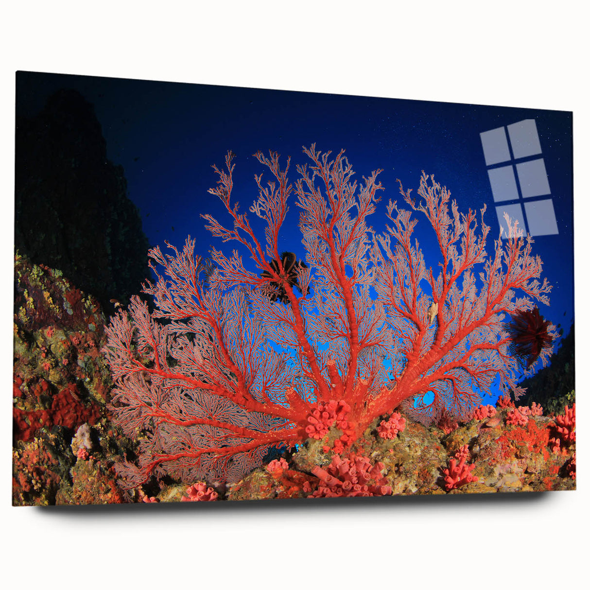 Acrylic print of the Great Barrier Reef in vibrant blues and greens, ideal for bedroom or dining room art.