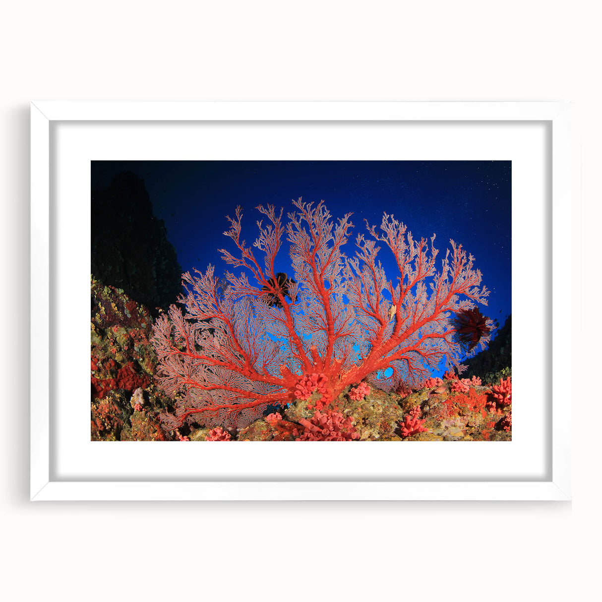 Extra large wall art featuring an abstract depiction of the Great Barrier Reef in vibrant blue and green tones.