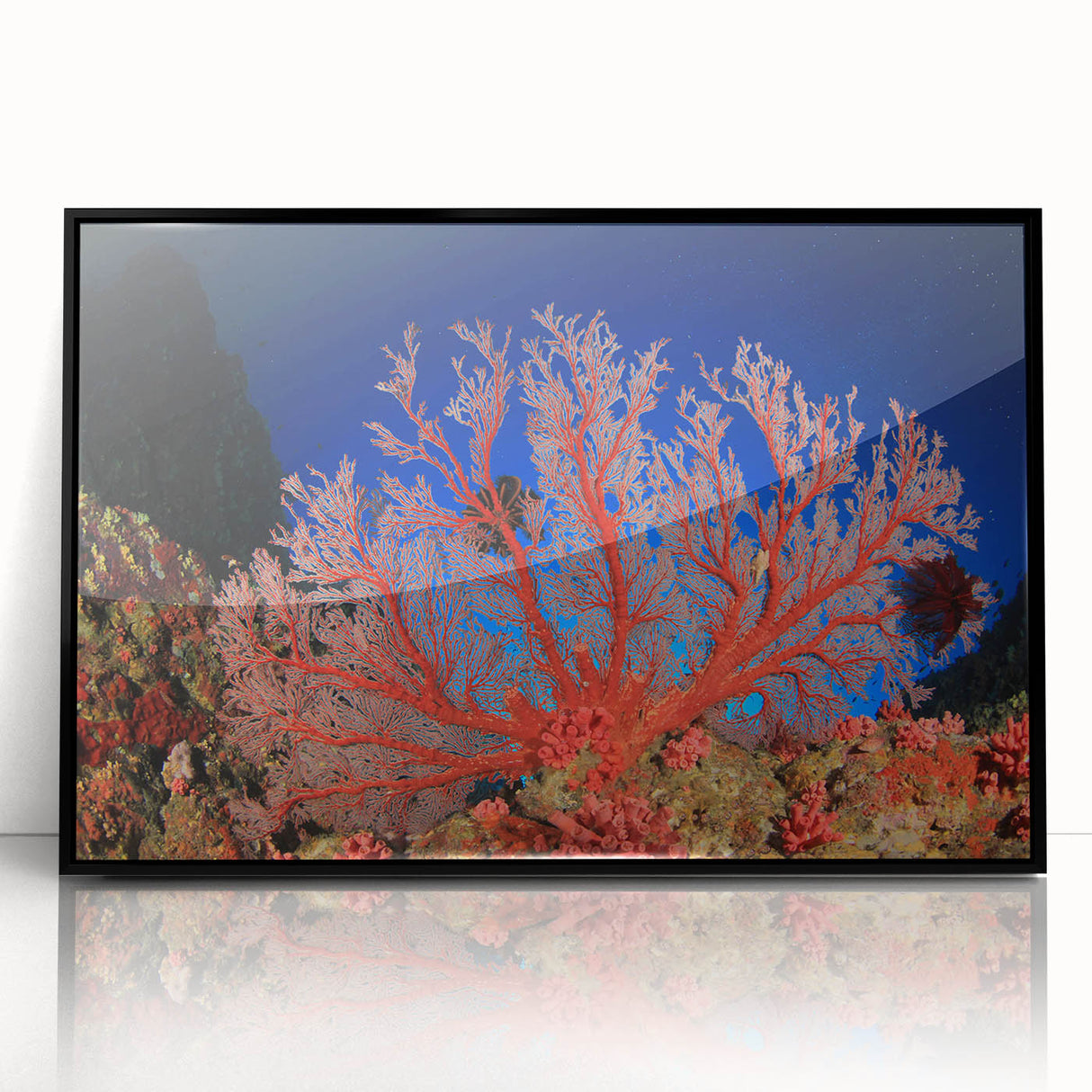 Large abstract wall art of the Great Barrier Reef in vibrant blue and green tones on a framed acrylic.