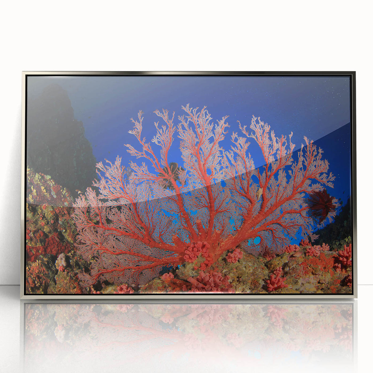 Acrylic print of the Great Barrier Reef in silver frame, featuring vibrant blue and green tones.