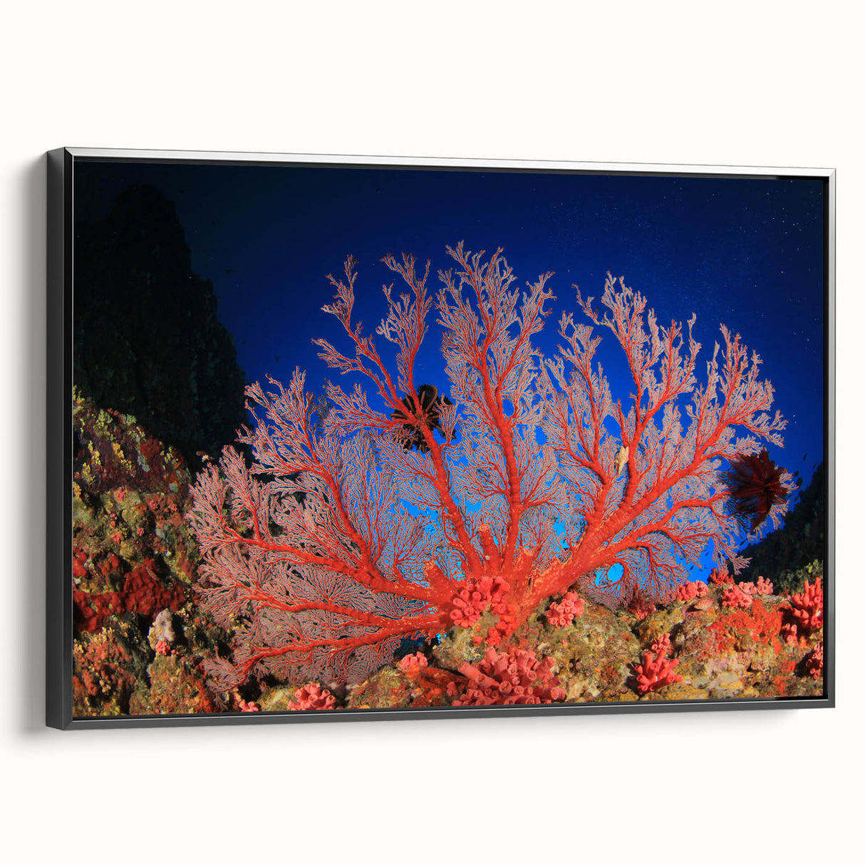 Black and white framed canvas of the Great Barrier Reef, ideal for bedroom wall art in a vintage poster style.