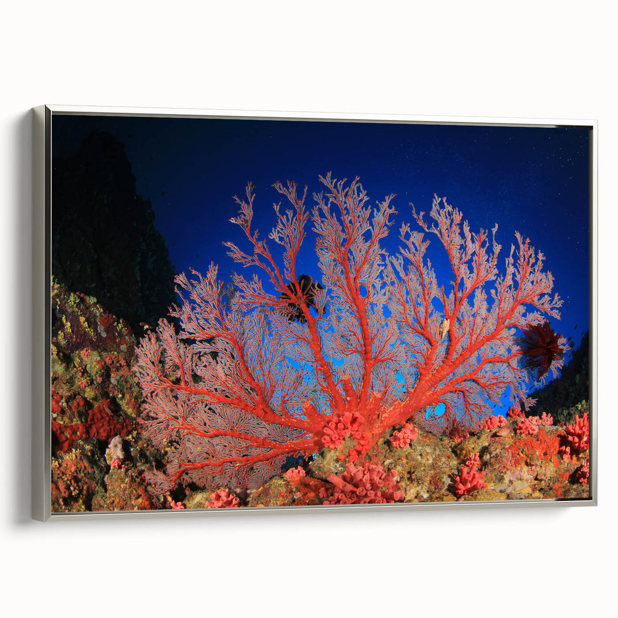 Vintage poster art of the Great Barrier Reef in colorful hues on a framed canvas, ideal for living room decor.