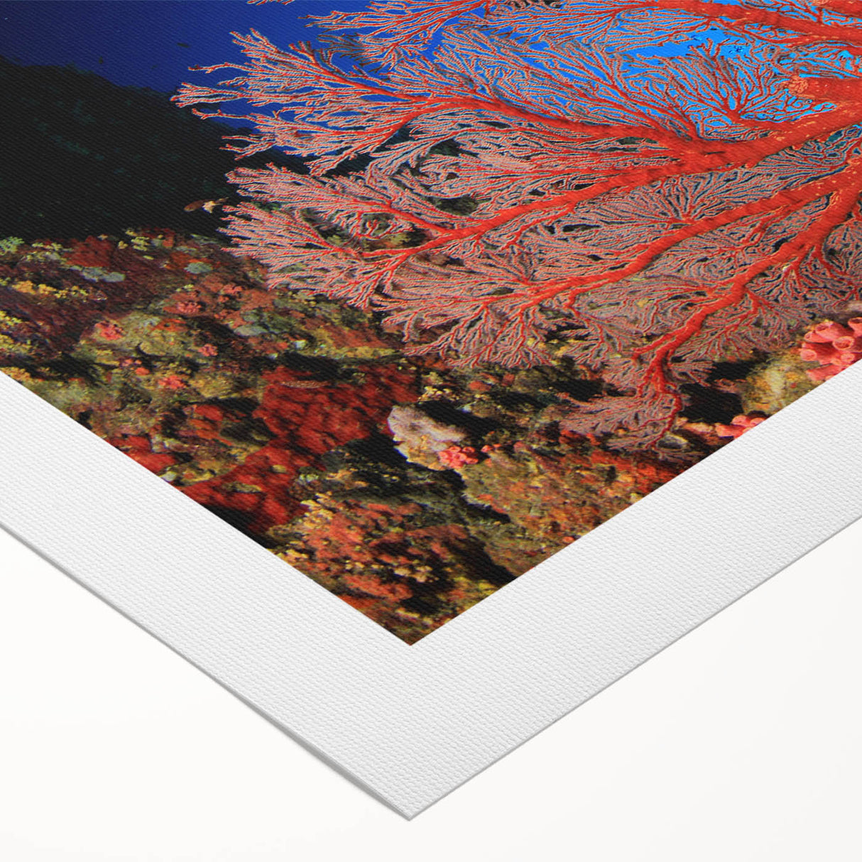 Art deco poster featuring the Great Barrier Reef in vibrant blue tones on rolled canvas, suitable for dining room decor.