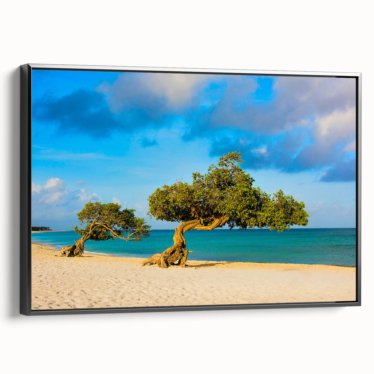 Black and white framed canvas of a Caribbean landscape, ideal for bedroom wall art.
