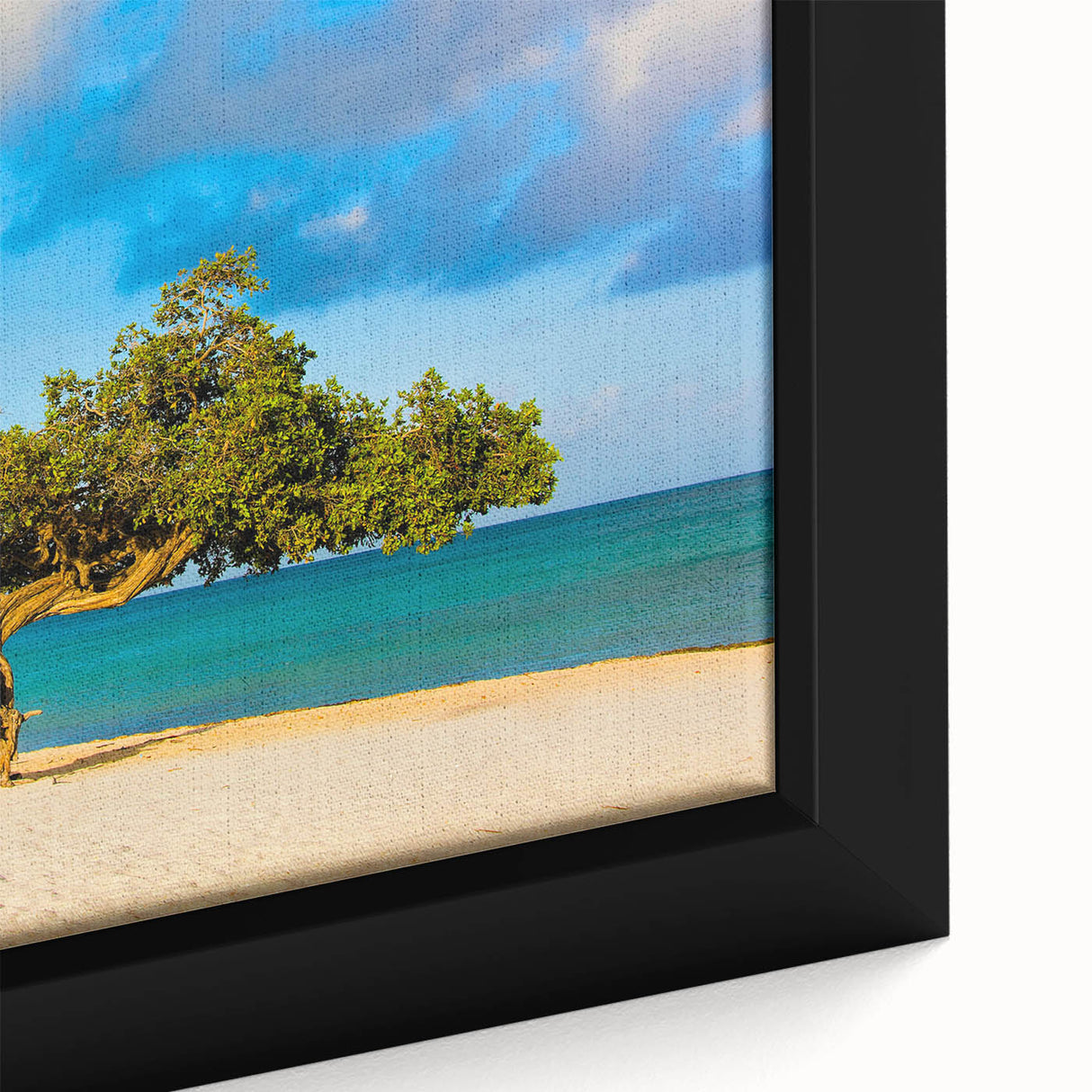Close-up of extra large black wall art depicting a colorful Caribbean Aruba scenery on a textured framed canvas.