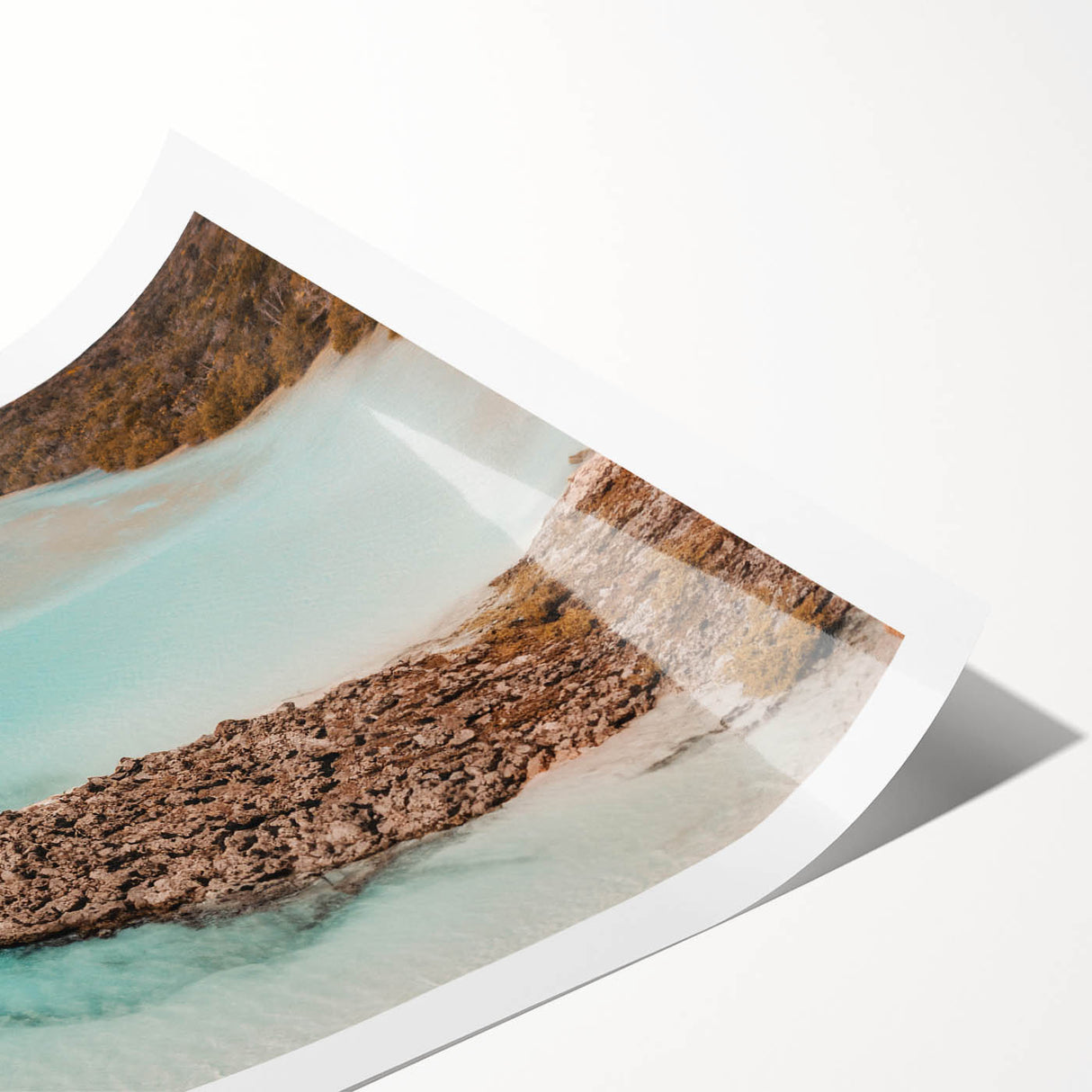 Extra large wall art featuring line art flowers in black on white, ideal for large living room decor.