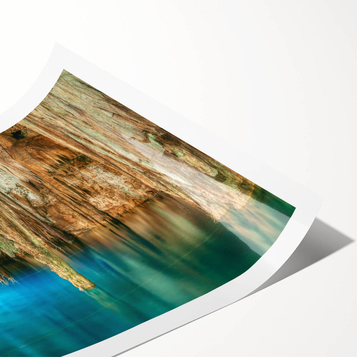 Extra large rolled print featuring line art flowers in monochrome, ideal for large living room wall art.