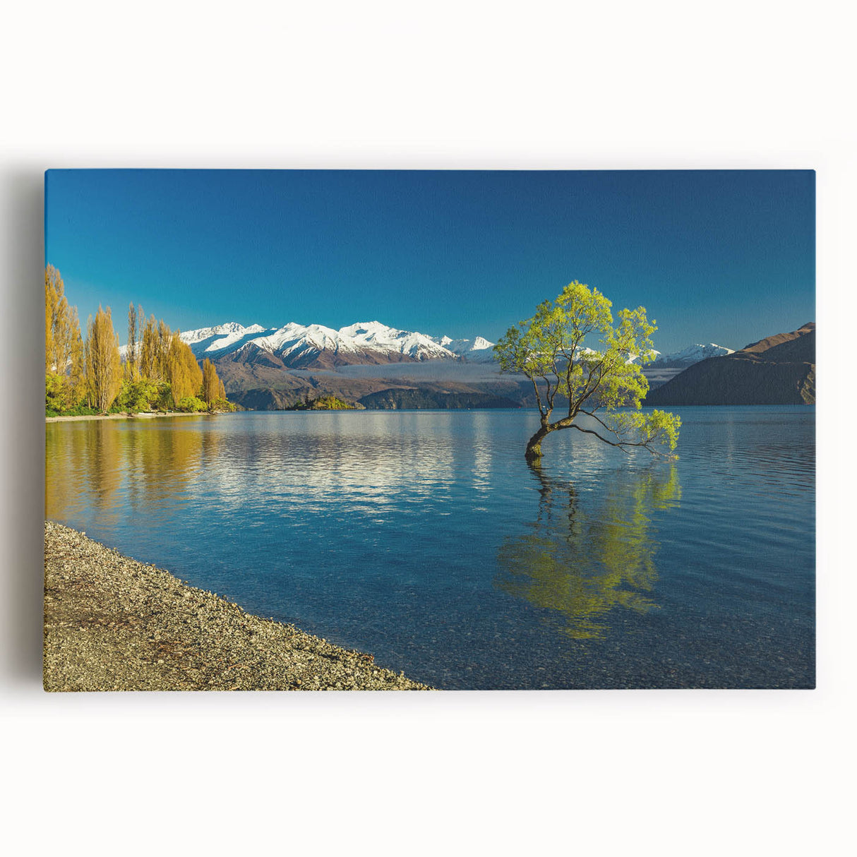 Black and white photo of Otago, New Zealand on stretched canvas, suitable for kitchen art.