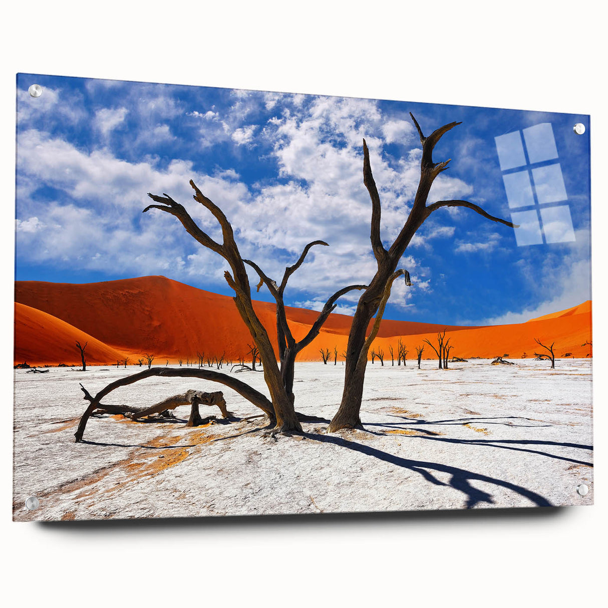 Acrylic glass print of a Namibian landscape featuring neutral earth tones, ideal for dining room art.