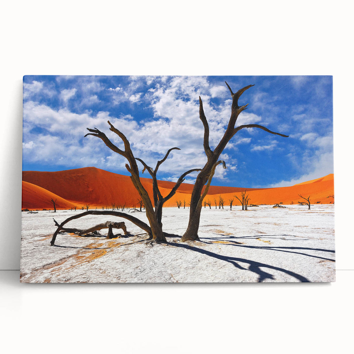 Black and white photo of an African landscape on a large stretched canvas, ideal for kitchen wall art or bedroom decor.