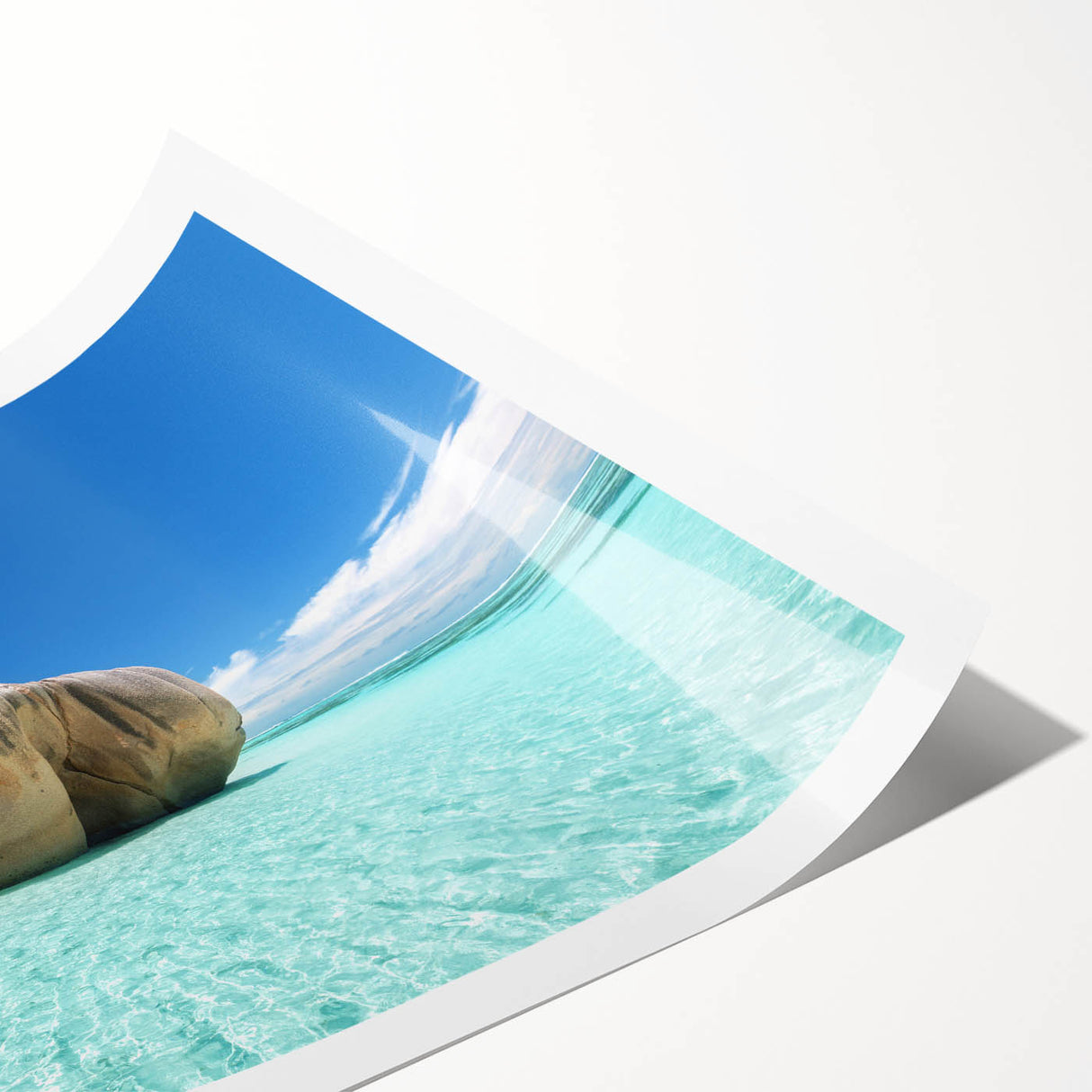 Extra large wall art of line art flowers in soft pastel shades on a rolled print, suitable for large living room decor.