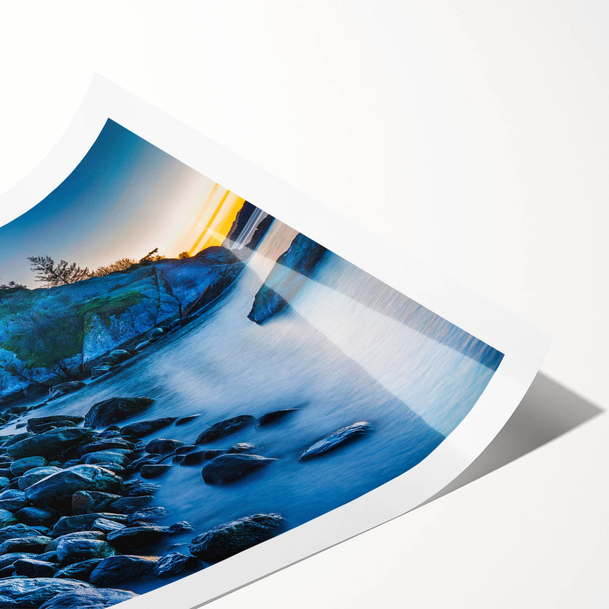 Extra large wall art featuring minimalist line art flowers in muted tones on a rolled canvas.