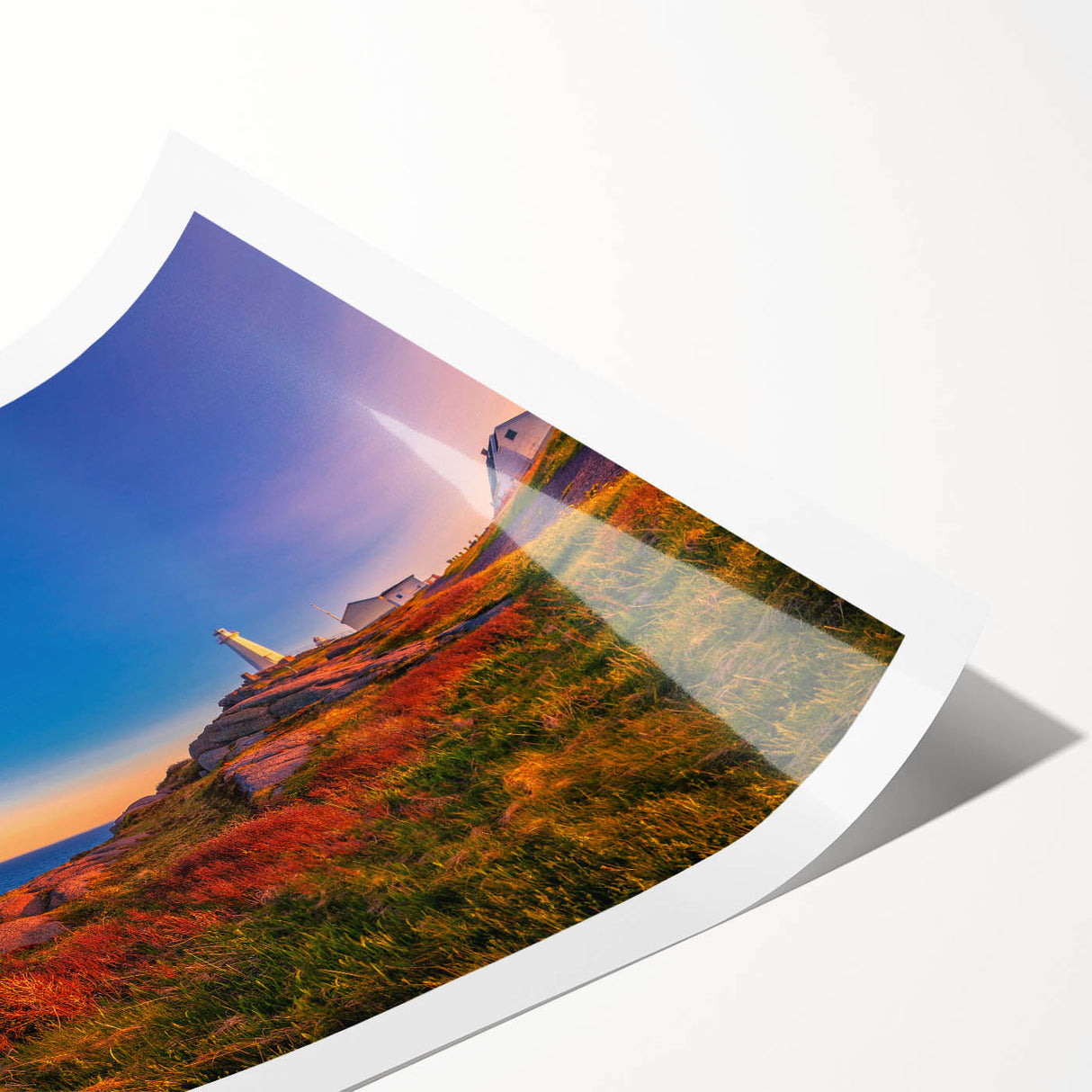 Extra large wall art featuring line art flowers in muted earth tones on a rolled canvas, ideal for large living room decor.