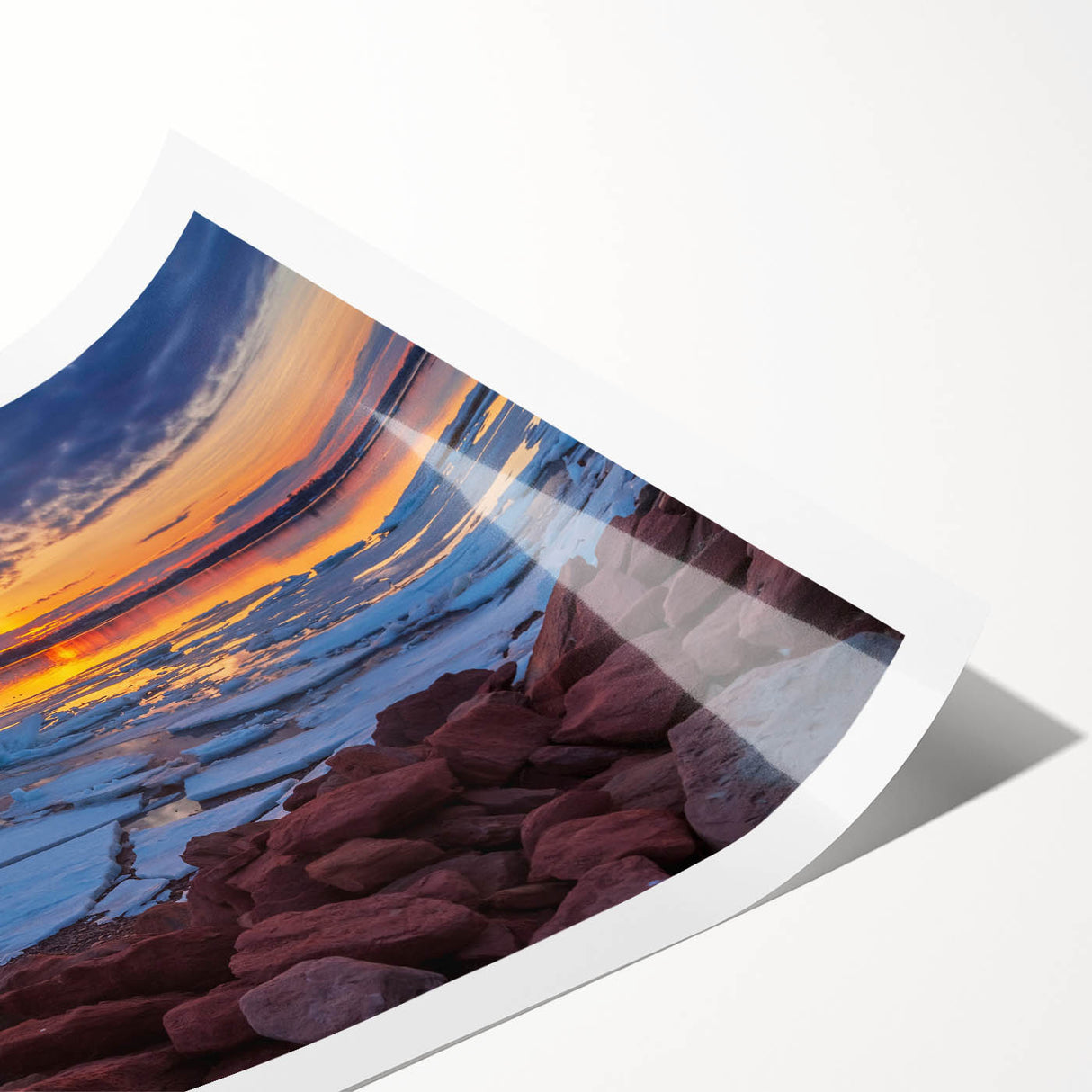 Extra large wall art featuring line art flowers in muted tones on a rolled canvas, ideal for large living room decor.