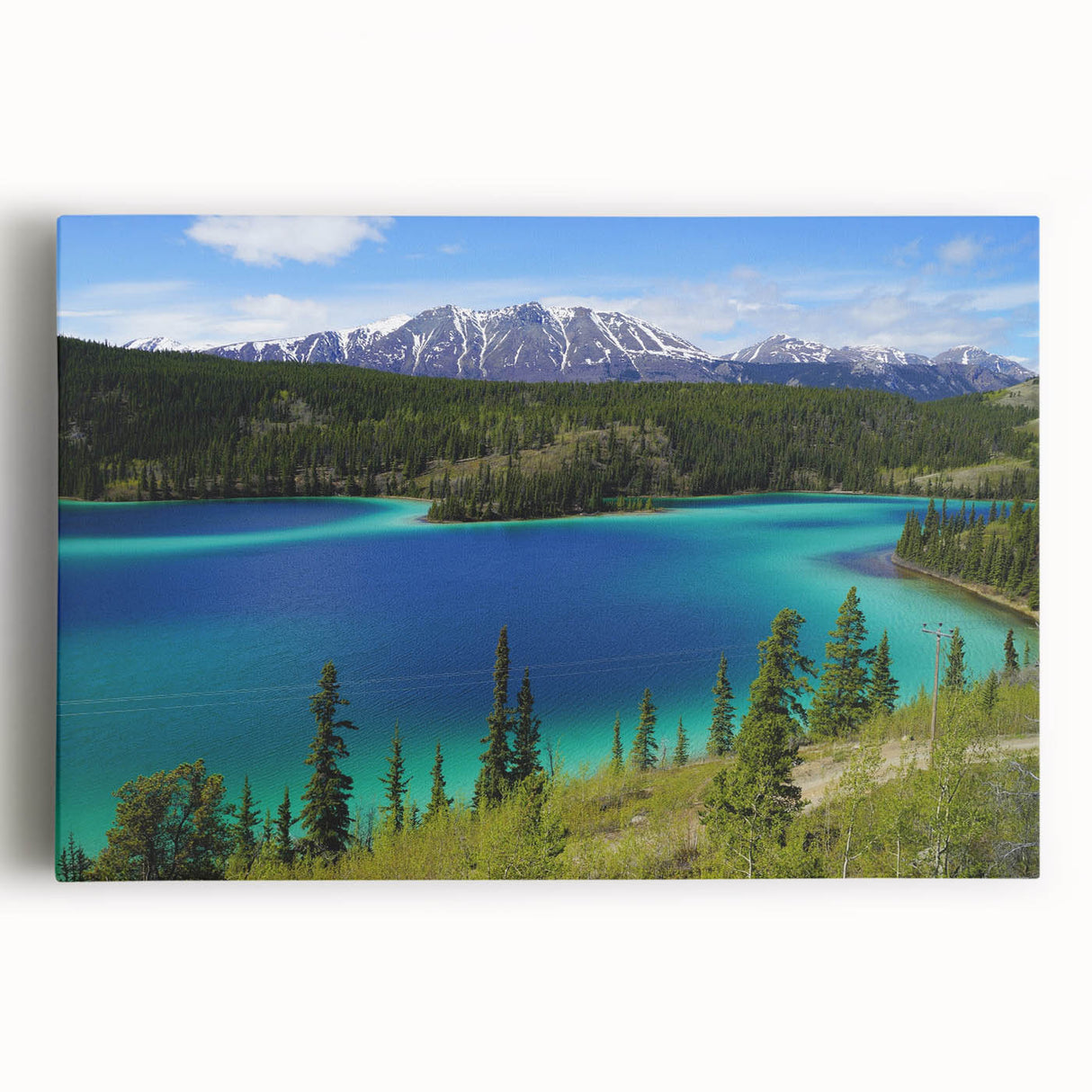 Black and white stretched canvas of Yukon scenery, ideal for kitchen wall art.