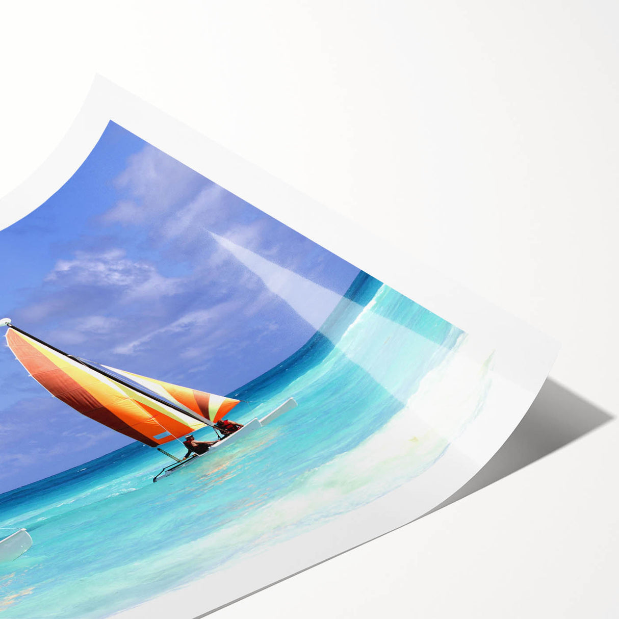 Extra large wall art featuring line art flowers in soft pastel shades on rolled print, ideal for large living room decor.