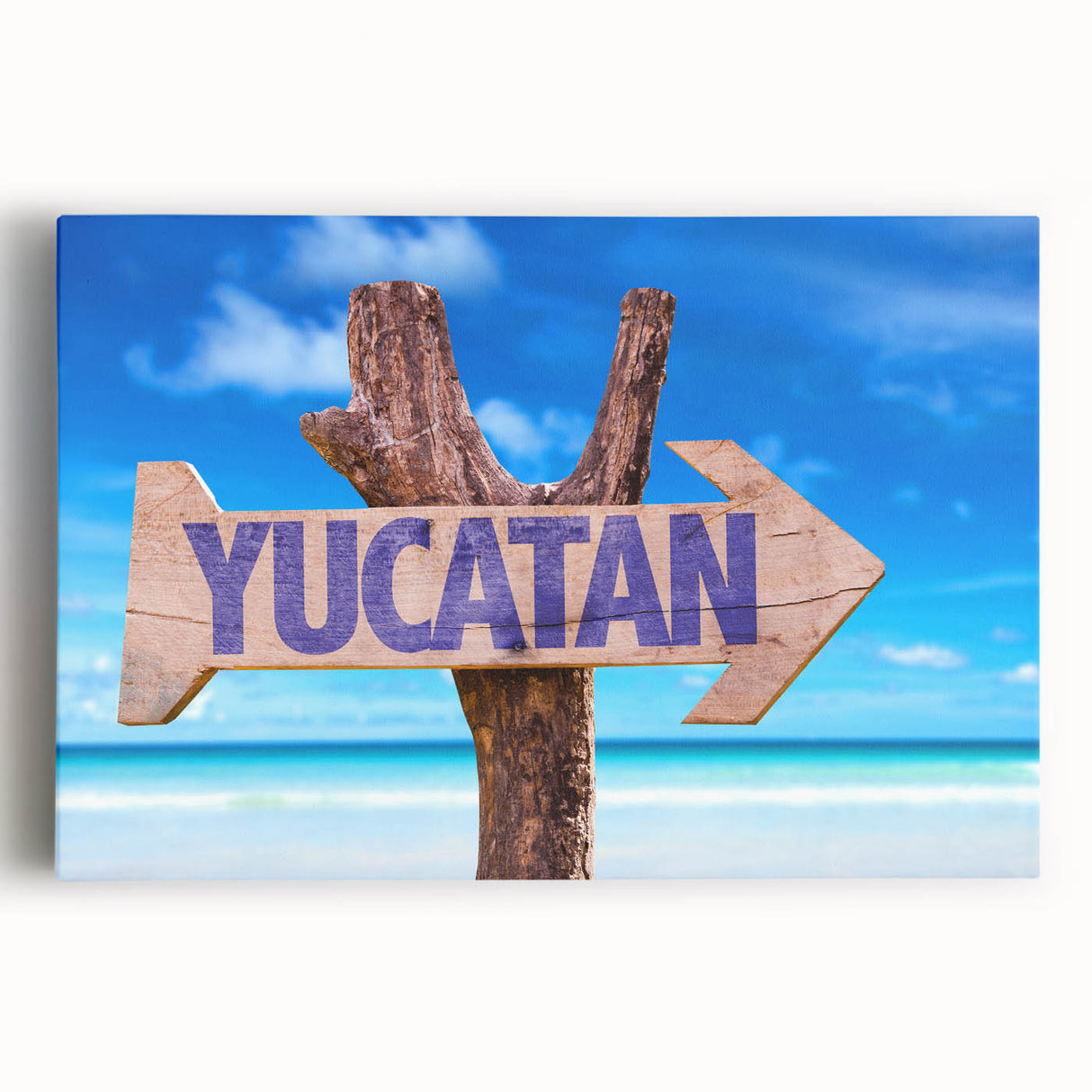 Black and white stretched canvas depicting a serene Yucatan landscape, ideal for kitchen wall art.