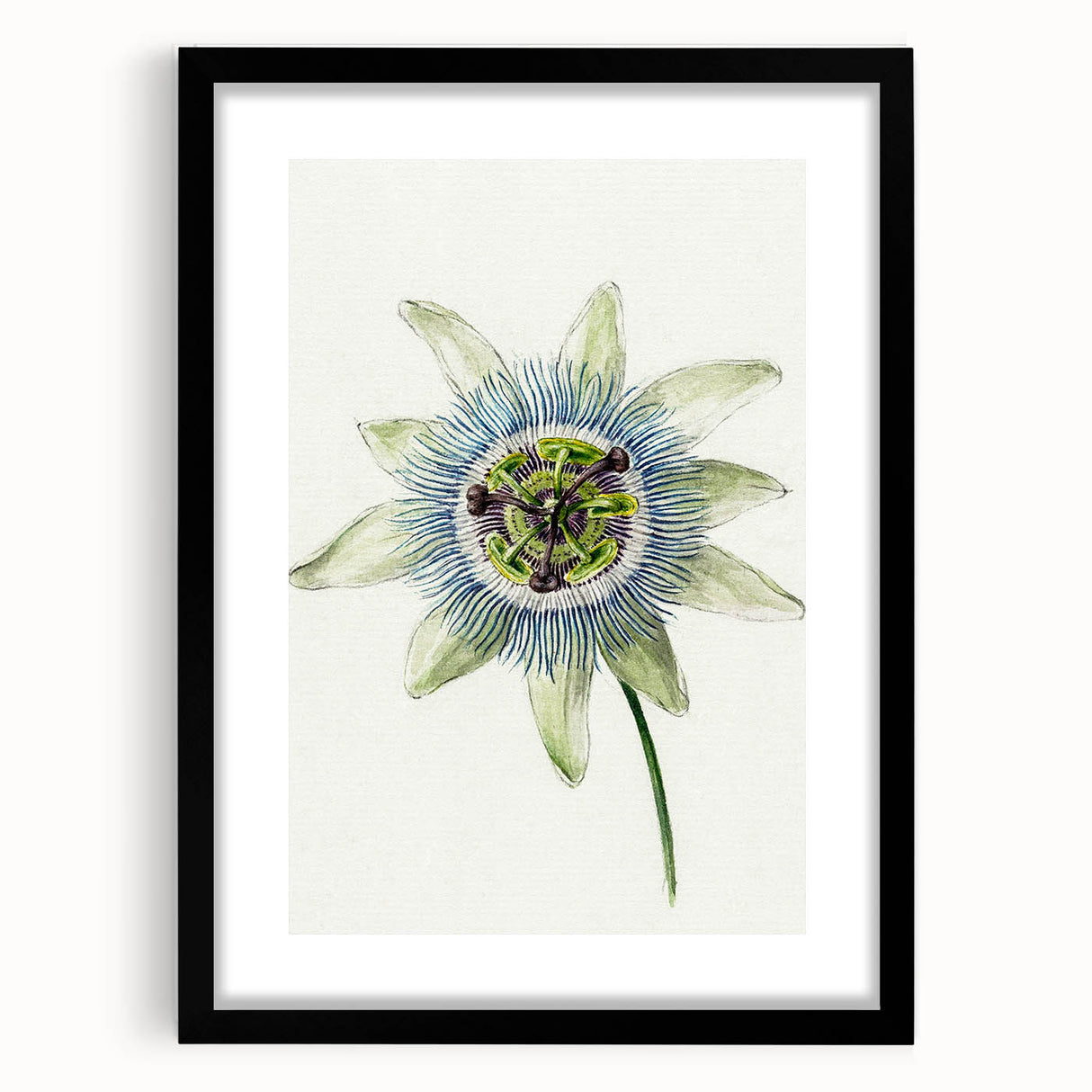 Famous Romantic Era Art: Passion Flower - Romantic Floral Canvas