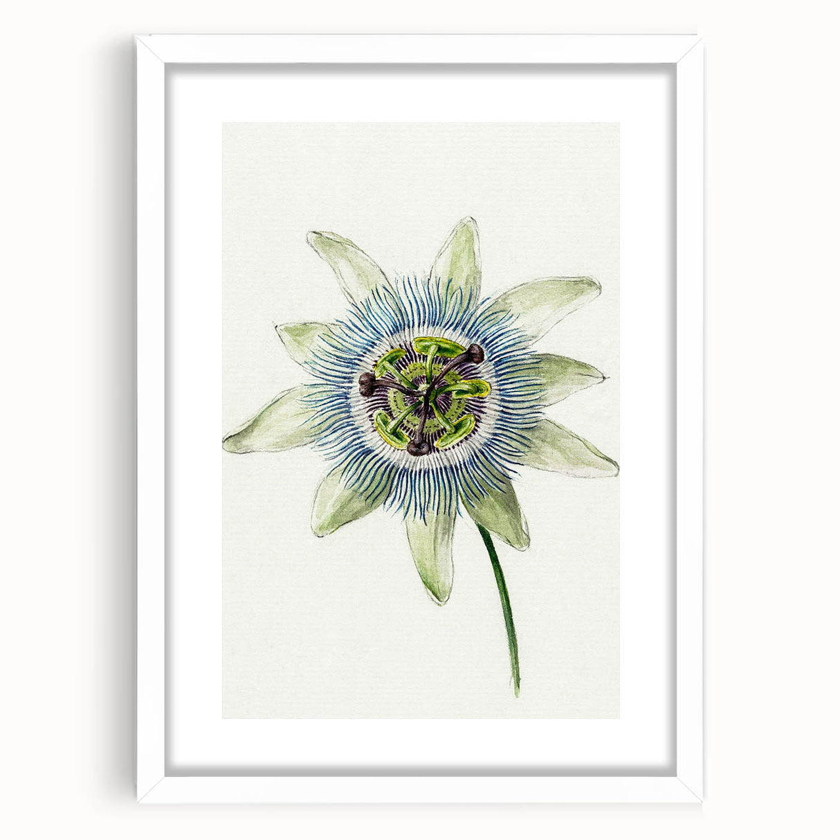 Famous Romantic Era Art: Passion Flower - Romantic Floral Canvas