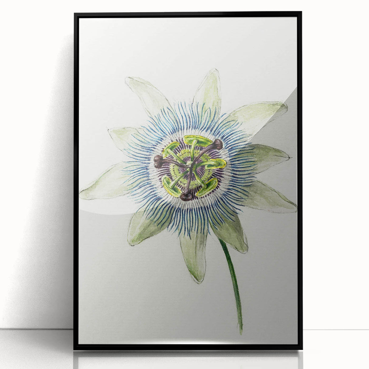 Famous Romantic Era Art: Passion Flower - Romantic Floral Canvas
