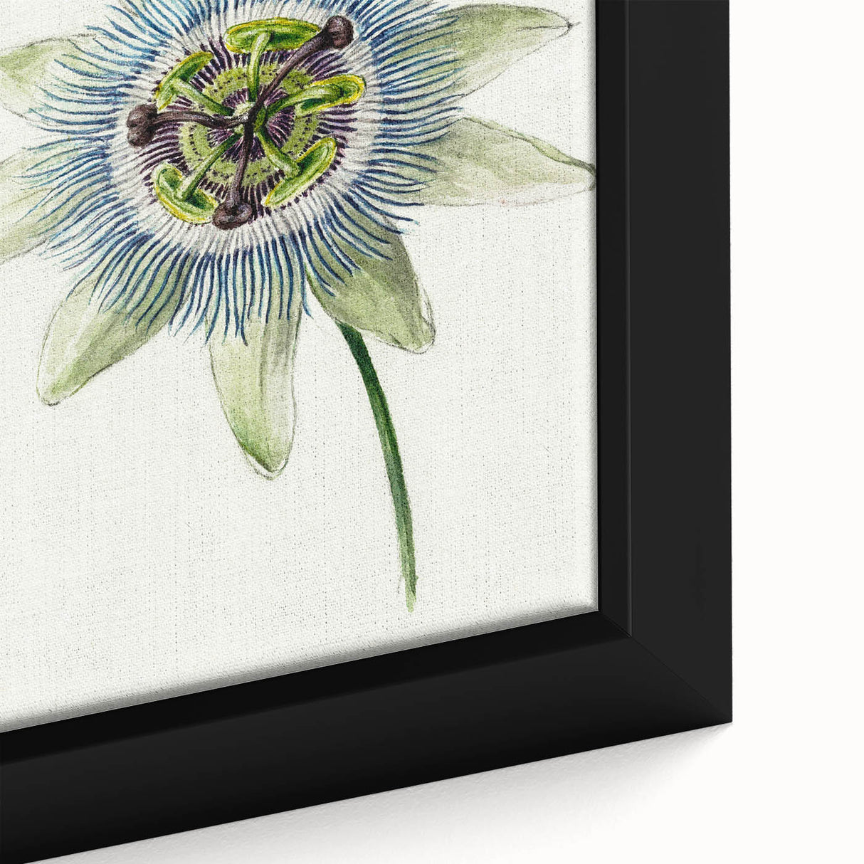Famous Romantic Era Art: Passion Flower - Romantic Floral Canvas