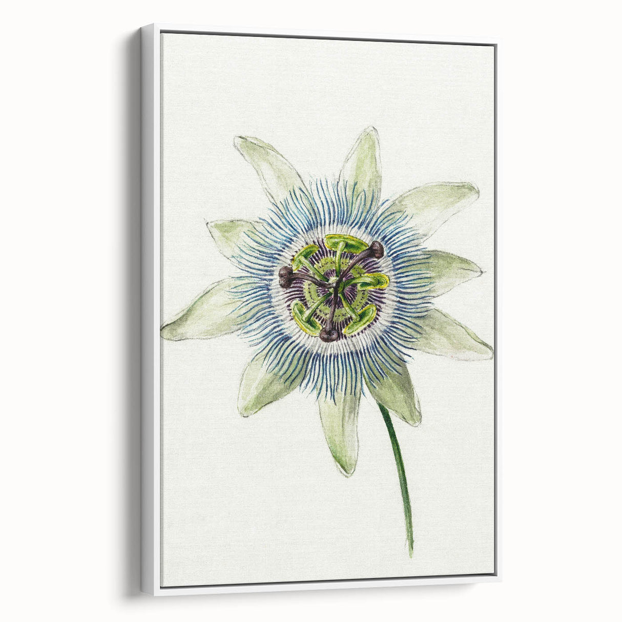 Famous Romantic Era Art: Passion Flower - Romantic Floral Canvas
