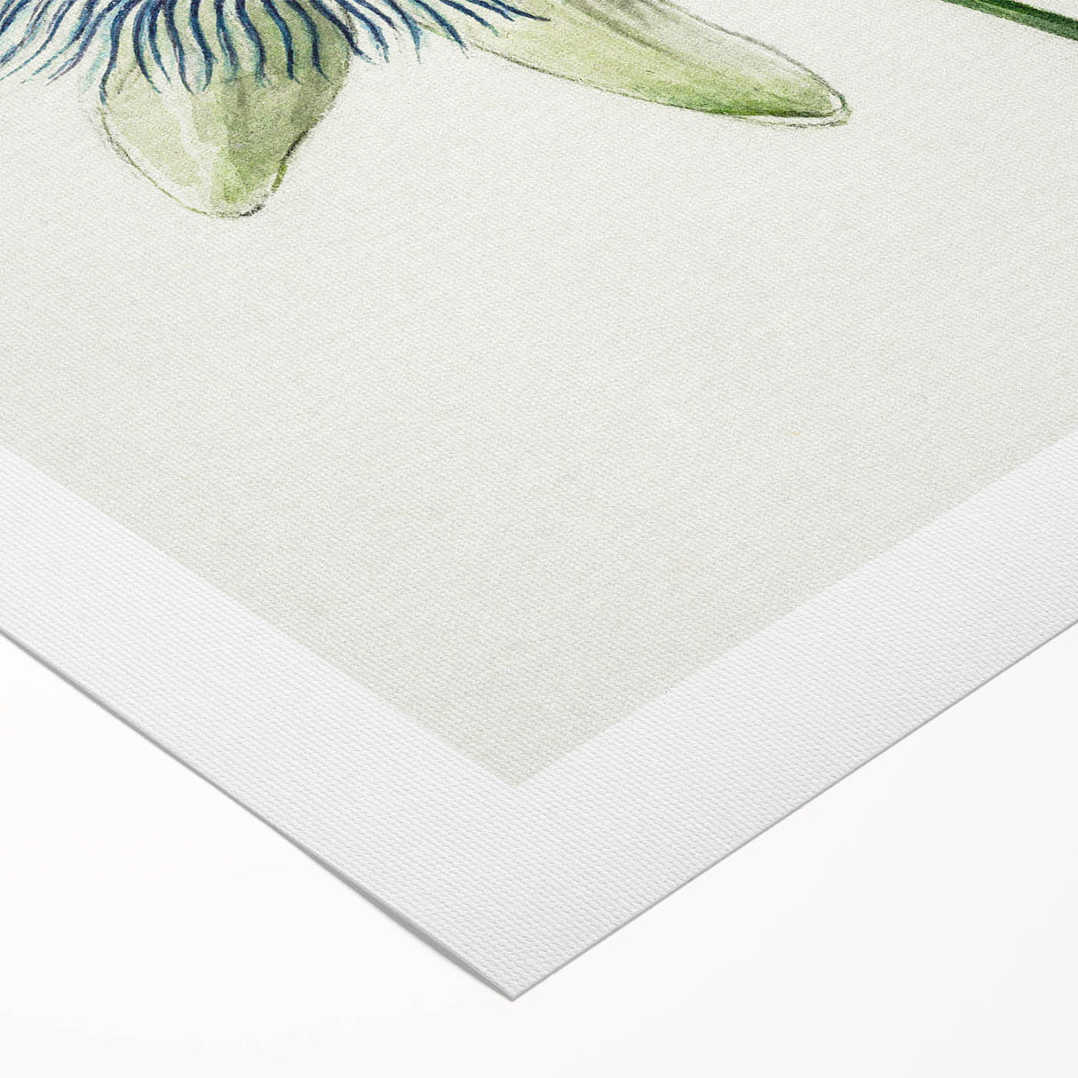 Famous Romantic Era Art: Passion Flower - Romantic Floral Canvas